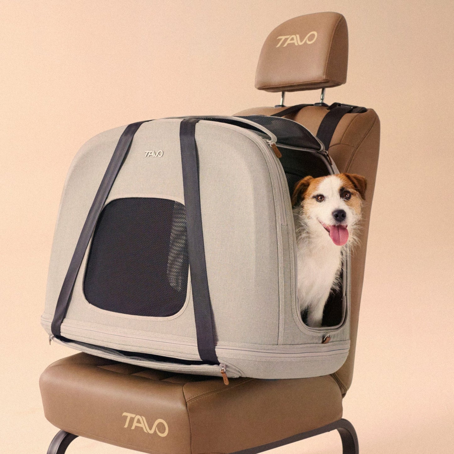 Tavo Crispin Pet Travel Crate