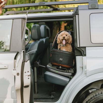 Tavo Maeve Pet Car Seat