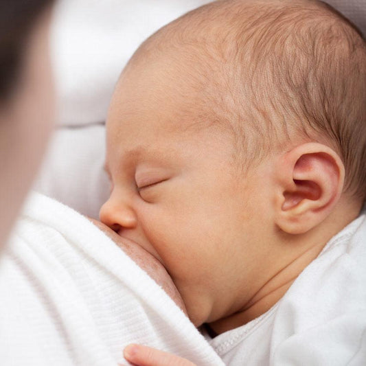 Babies in Bloom Understanding Breastfeeding eClass