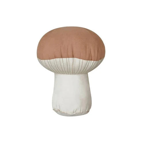 Cushion Boletus