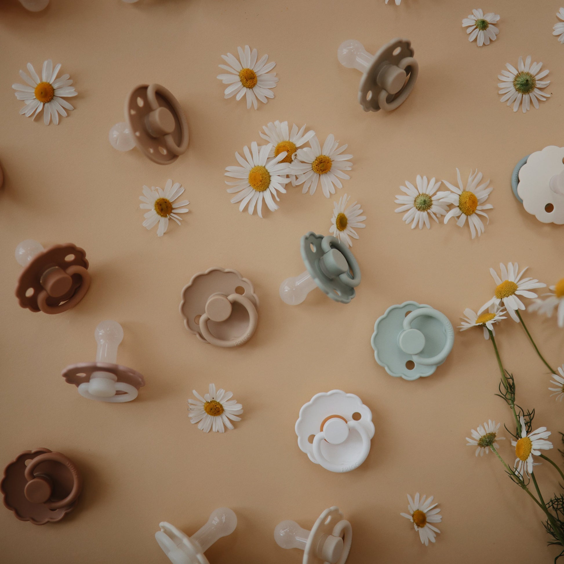 FRIGG Daisy Silicone Pacifier 2-Pack - Babies in Bloom