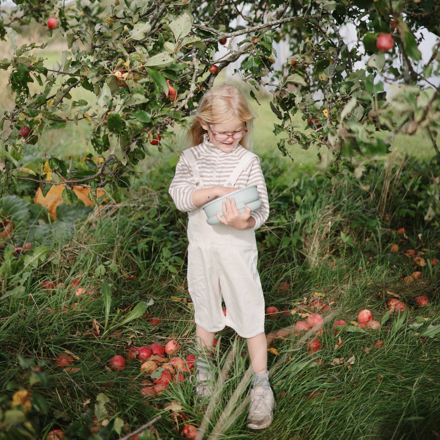 Lunchbox - Babies in Bloom