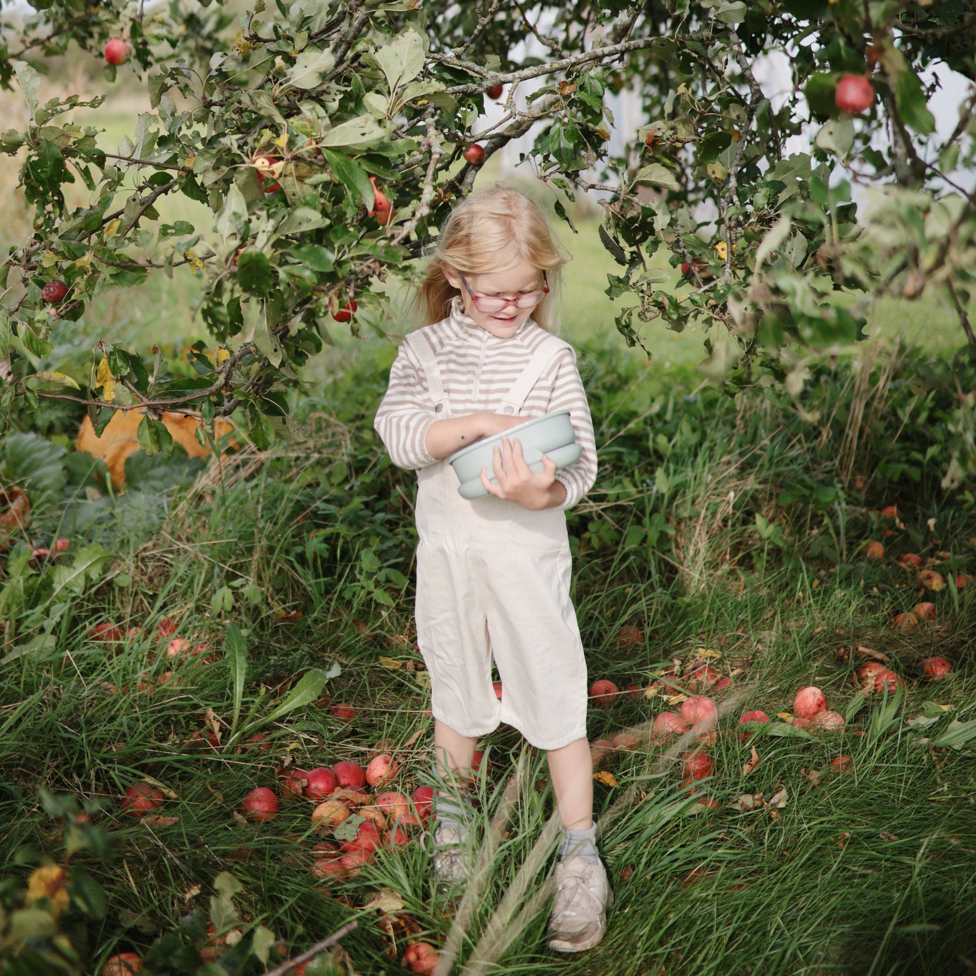 Lunchbox - Babies in Bloom
