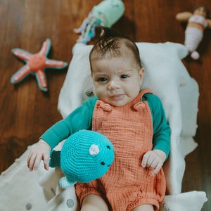 Pebble Whale Rattle