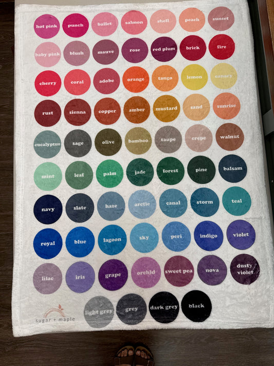 Color Swatch Minky Blanket