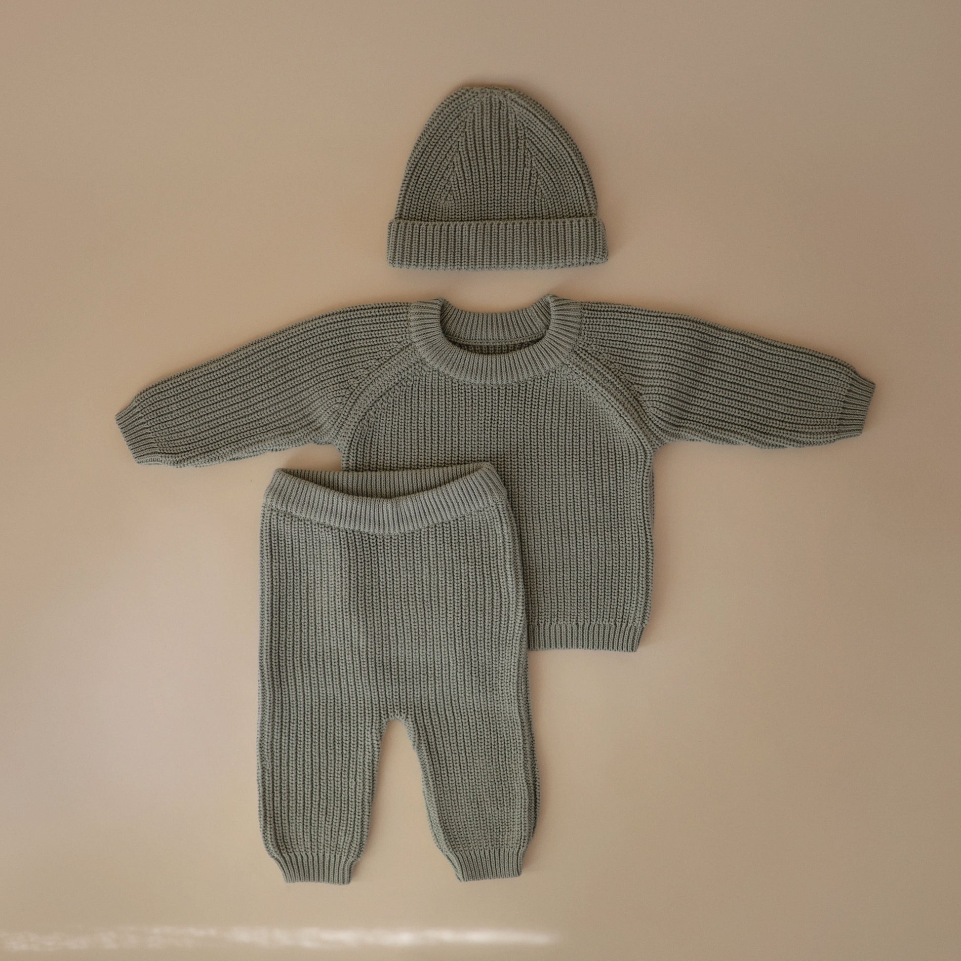 Chunky Knit Beanie - Babies in Bloom