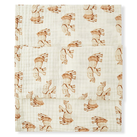 Tutu Elephant Beach & Swim Towel