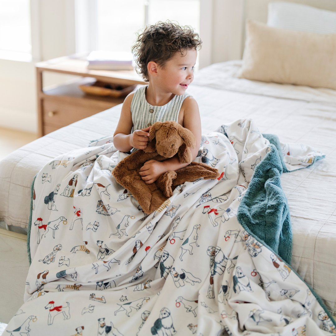 MINKY/LUSH XL BLANKETS - Babies in Bloom