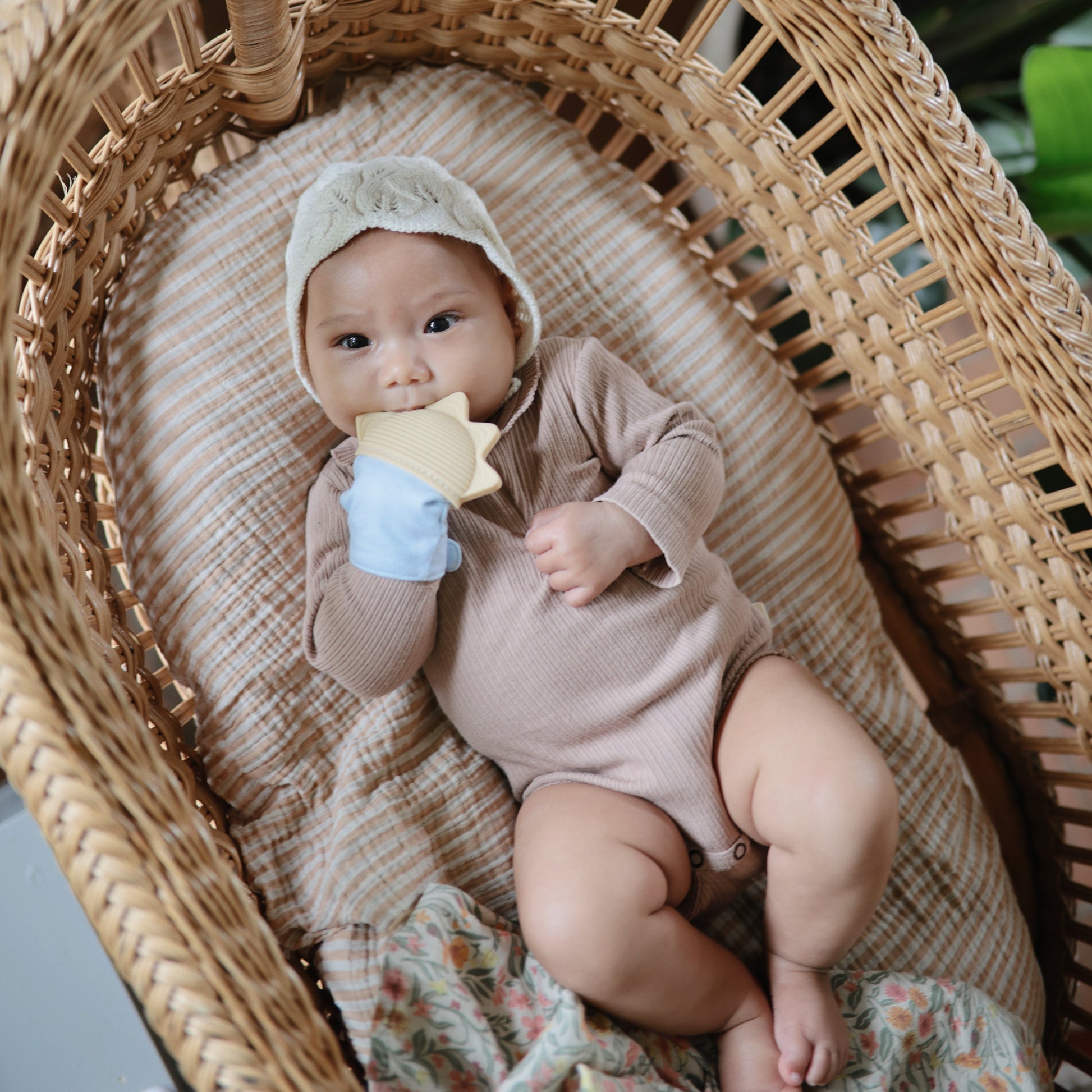 Mini Muslin Crib Sheet - Babies in Bloom