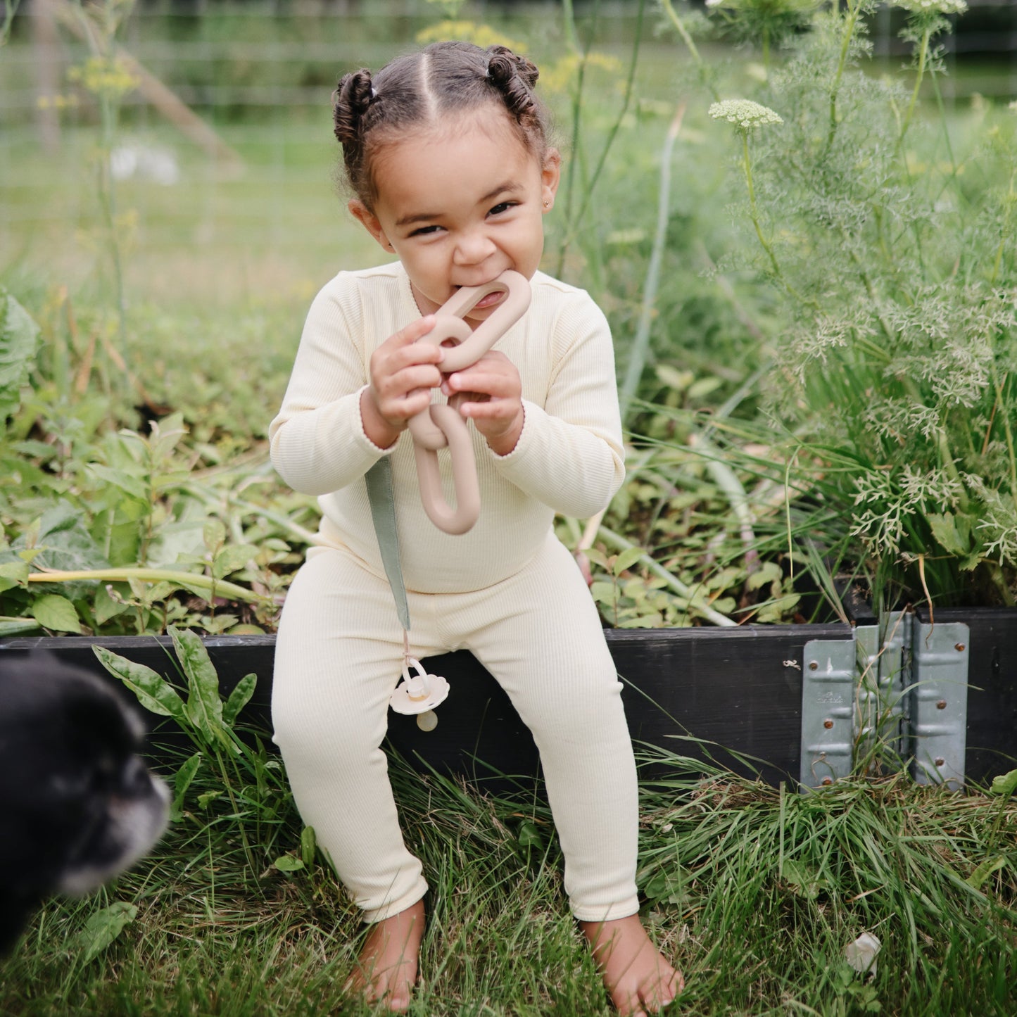 Links Teether - Babies in Bloom