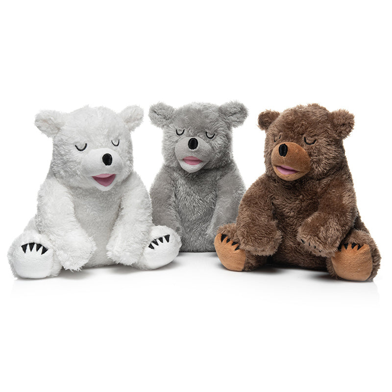 Little Bear - Snowy