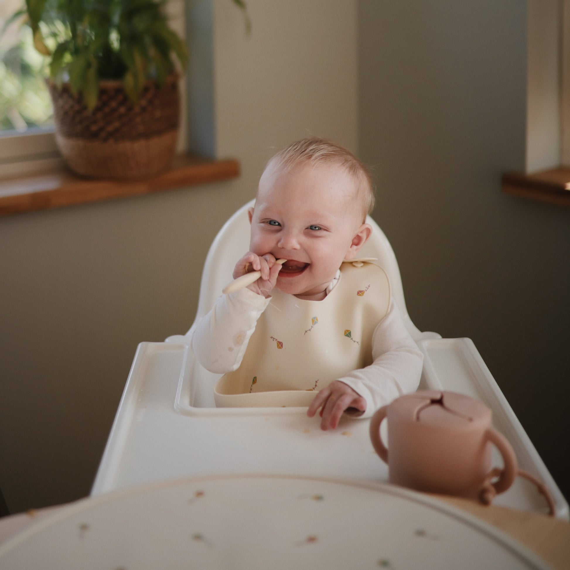 Silicone Baby Bib - Babies in Bloom