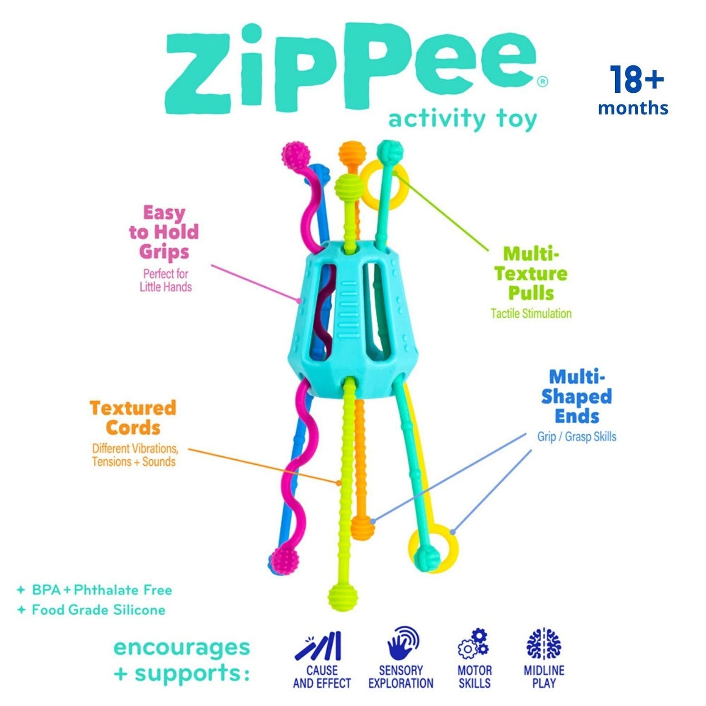 Zippee Activity Toy