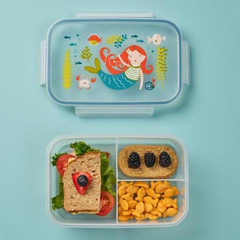 Good Lunch Bento Box Ore - Babies in Bloom