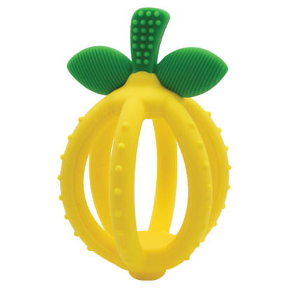 Itzy Ritzy Bitzy Biter Teething Ball & Training Toothbrush Itzy Ritzy - Babies in Bloom