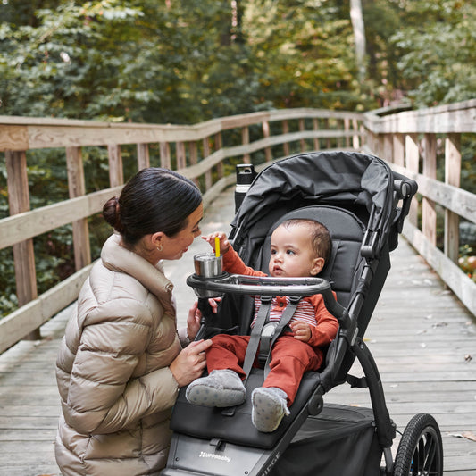 UPPAbaby RIDGE Strollers