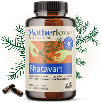 Motherlove Shatavari
