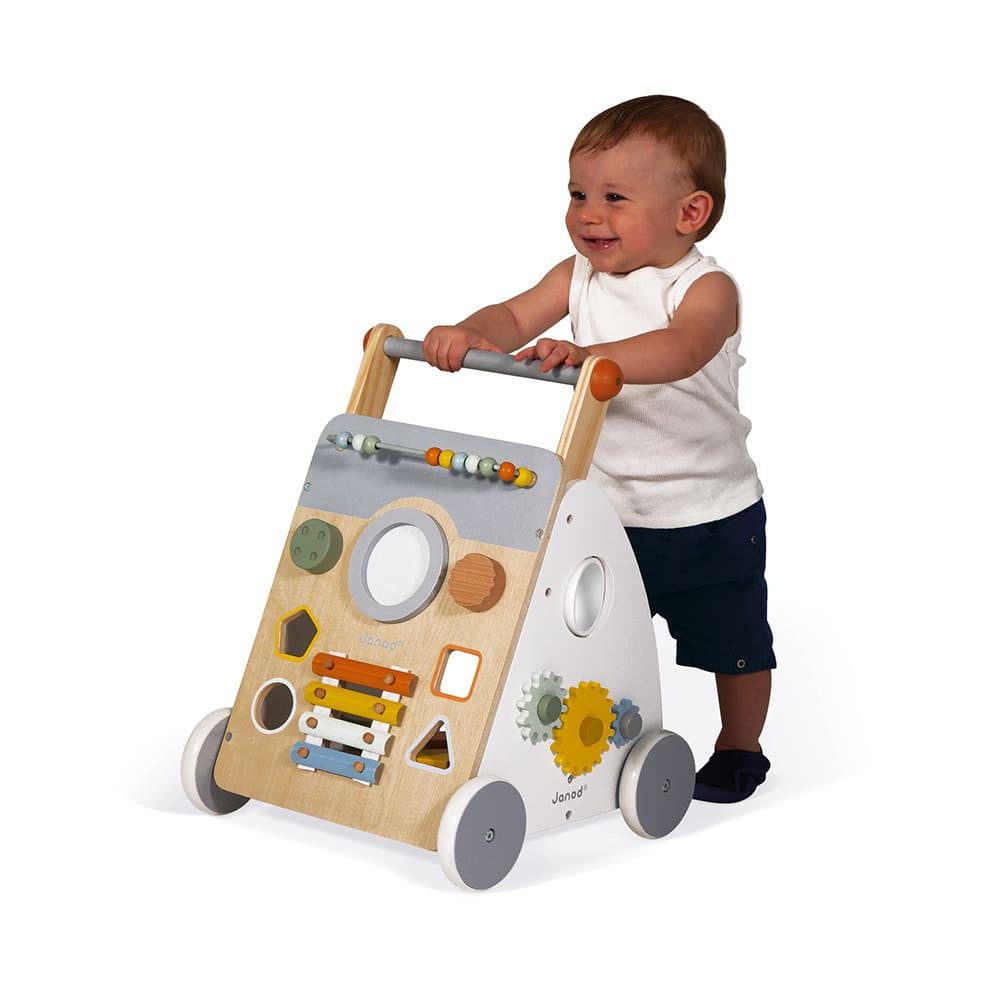 Sweet Cocoon Multi Activity Baby Walker